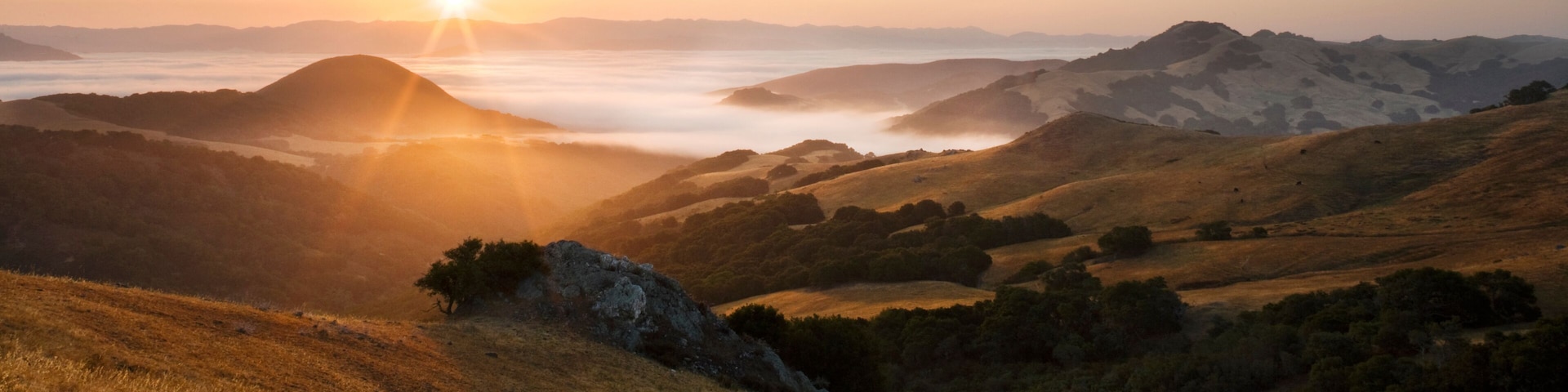 Rolling hills, a sunrise, and a valley with mist.