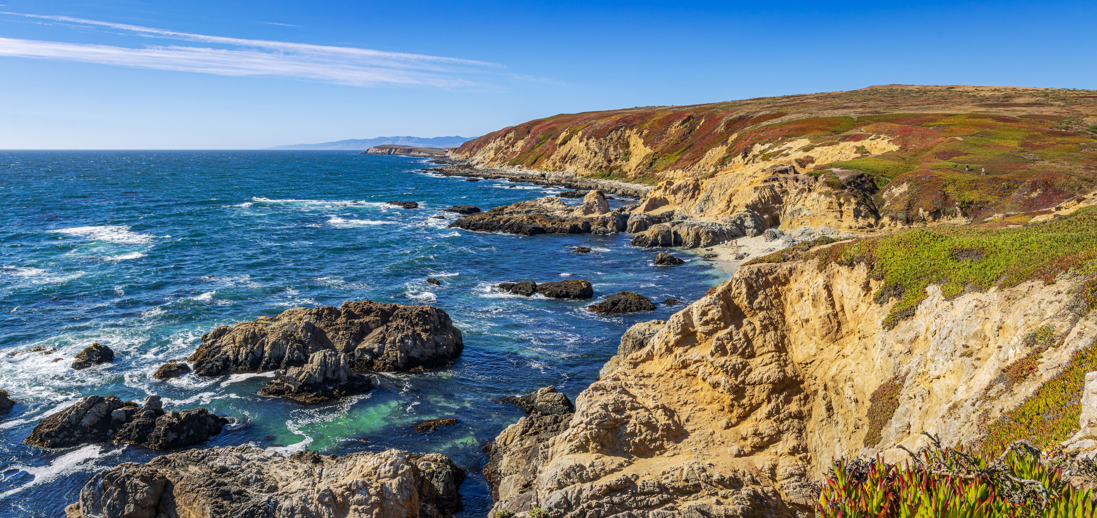 Panorama of Bodega Bay beach in Sonoma County in California, USA, in a pretty summer day