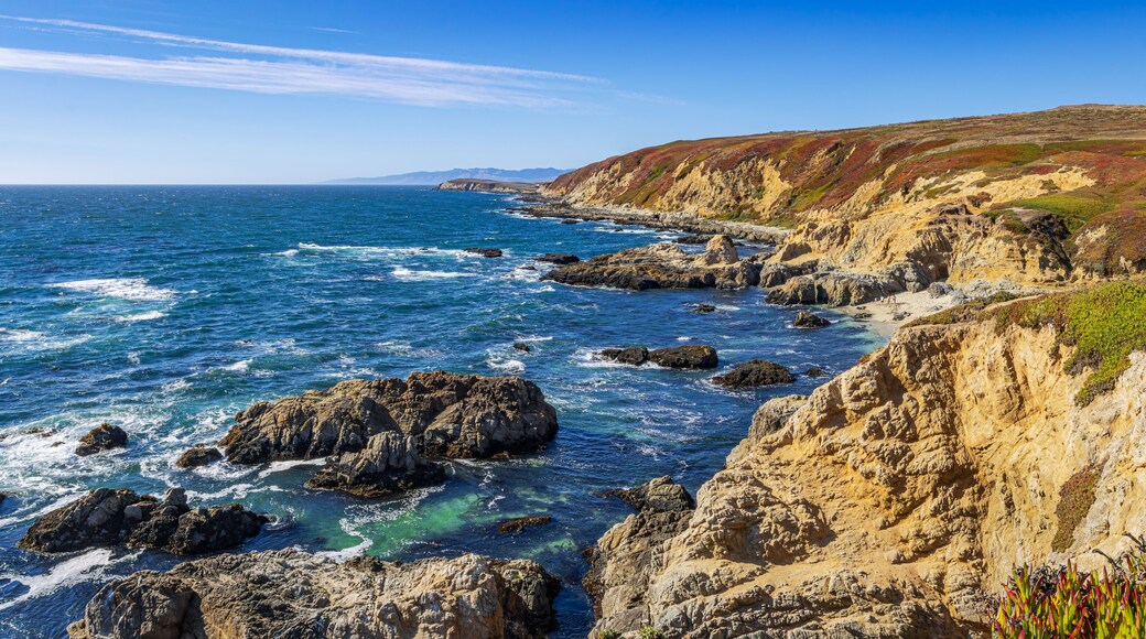 Panorama of Bodega Bay beach in Sonoma County in California, USA, in a pretty summer day