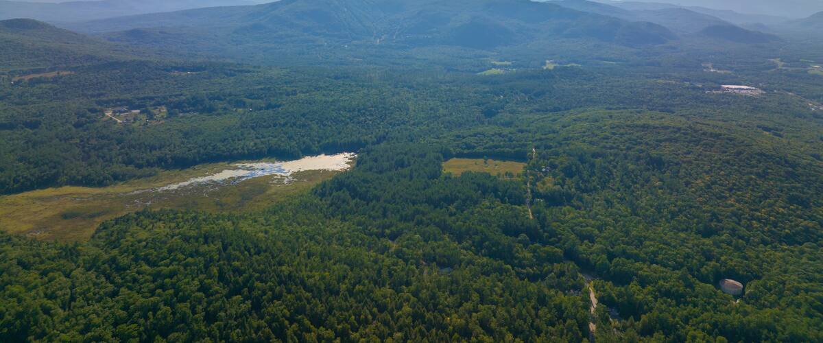 A mountainous landscape with dense forests, a river, and wind turbines in the distance.