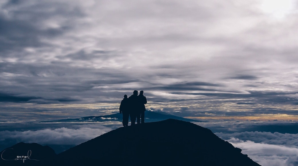 Trekking to 4565m high summit of Mount Meru in Tanzania. A hike through the beautiful national park of Arusha and meeting the african wildlife. One makes this trip unforgettable, a constant view on the wonderful Kilimanjaro. This early morning photo is taking just below the top of Mount Meru between two layers of clouds and only the peak of Kilimanjora on the Horizon. #nationalpark #africa #summit #meru #wilderness #travel #hiking #mountains