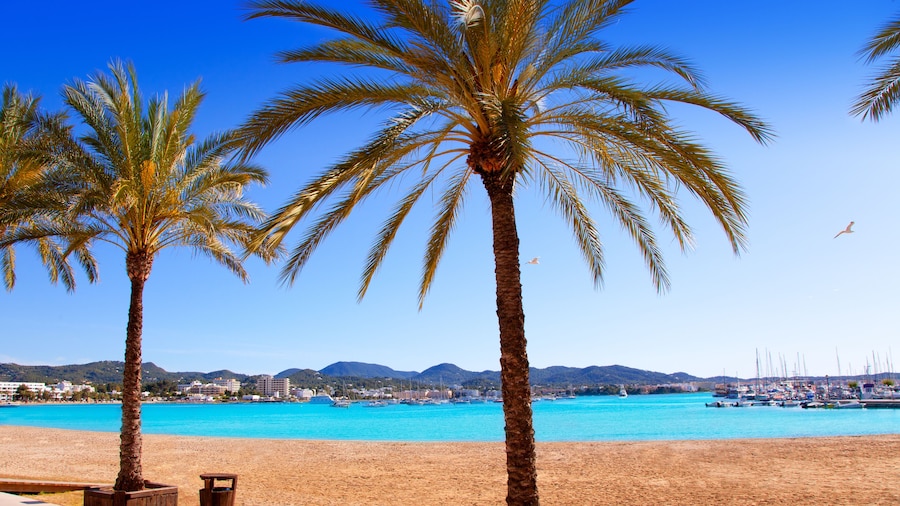 Circuito de karts Ibiza Karting San Antonio