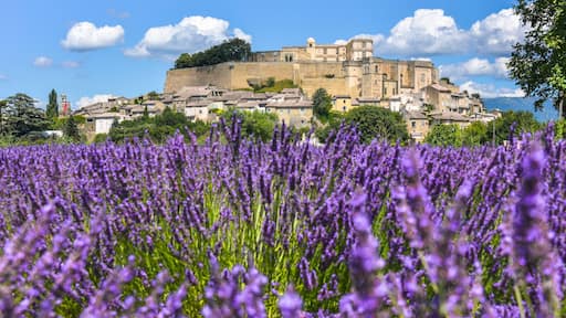 village Grignan situated on a hill with lavender, Provence, France, village with castle Château de Grignan, in Drôme department, region Auvergne-Rhône-Alpes