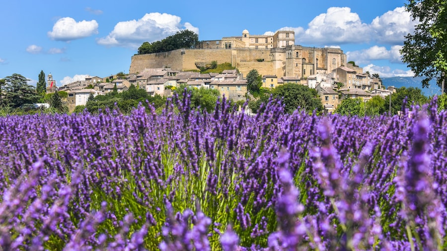village Grignan situated on a hill with lavender, Provence, France, village with castle Château de Grignan, in Drôme department, region Auvergne-Rhône-Alpes