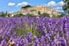 Château de Grignan