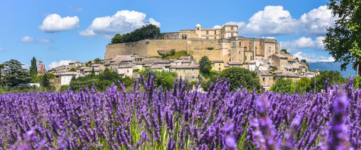 A lavender field in the foreground with a historic castle in the background.