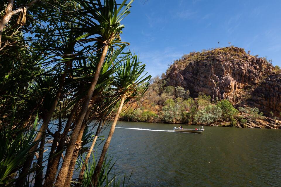 Une rivière avec un bateau, des palmiers et une colline rocheuse.