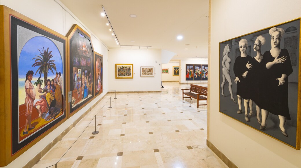 Ralli Museum showing interior views and art