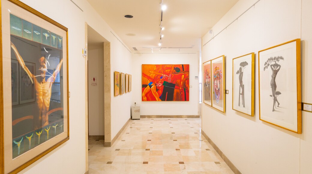 Ralli Museum featuring art and interior views