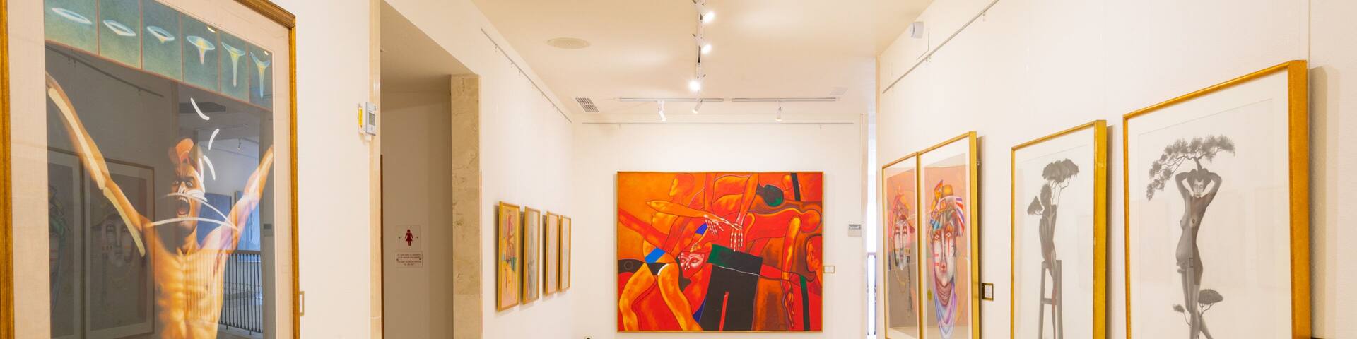 Ralli Museum featuring art and interior views