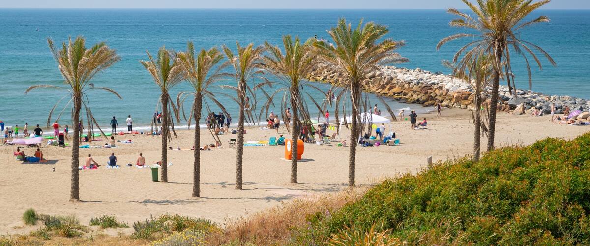 Cabopino Beach showing a beach, general coastal views and tropical scenes