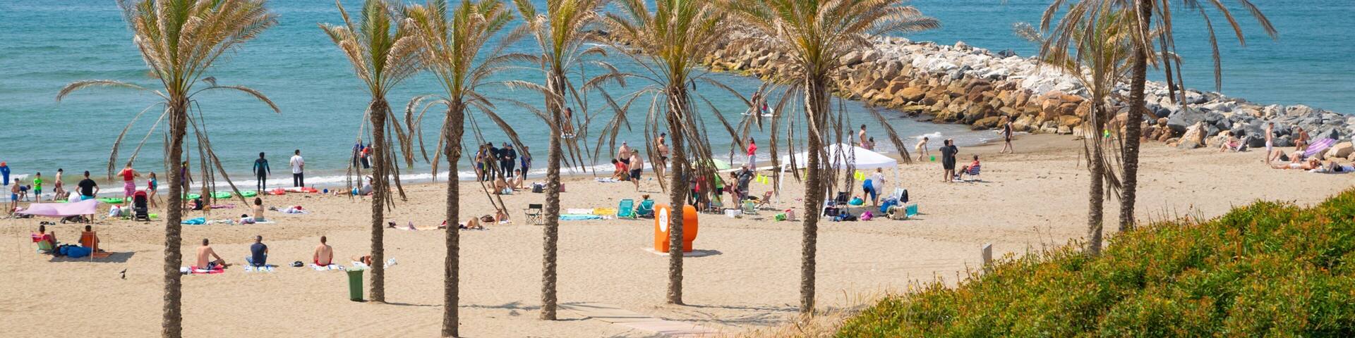 Cabopino Beach showing a beach, general coastal views and tropical scenes