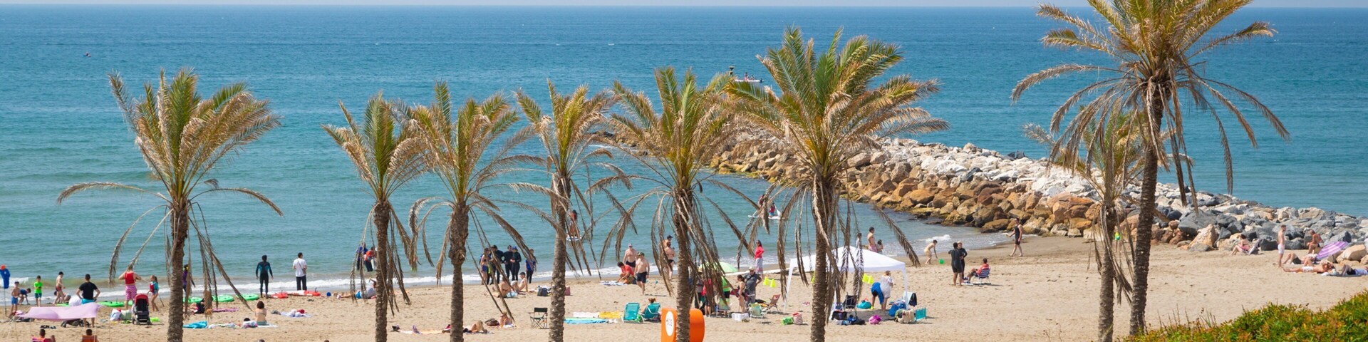 Cabopino Beach showing a beach, general coastal views and tropical scenes
