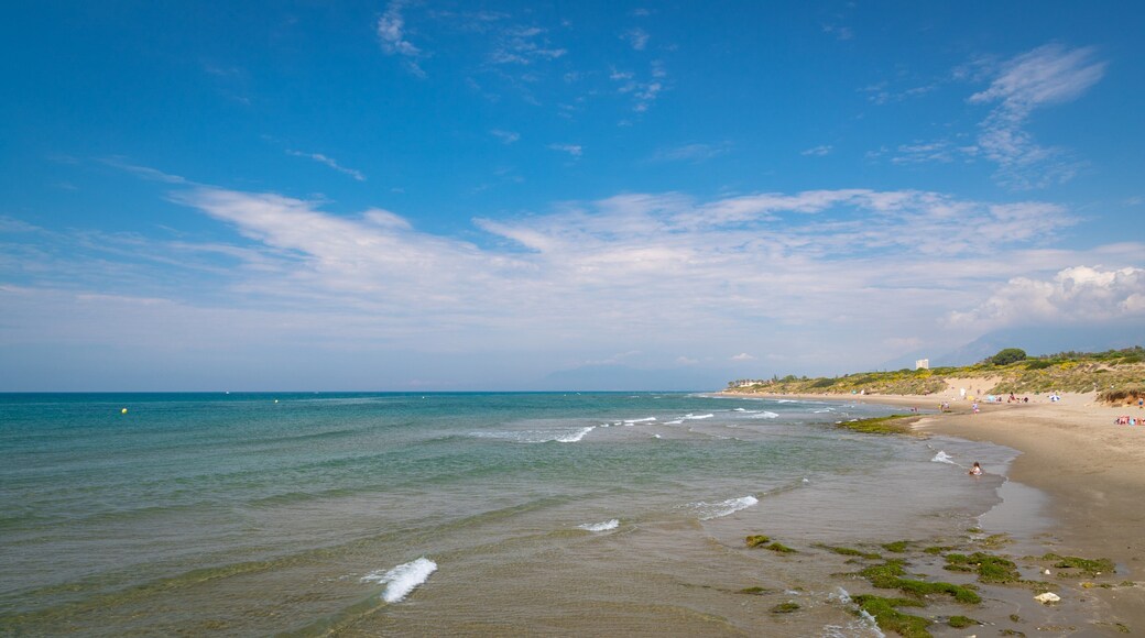 Cabopino Beach featuring general coastal views and a beach