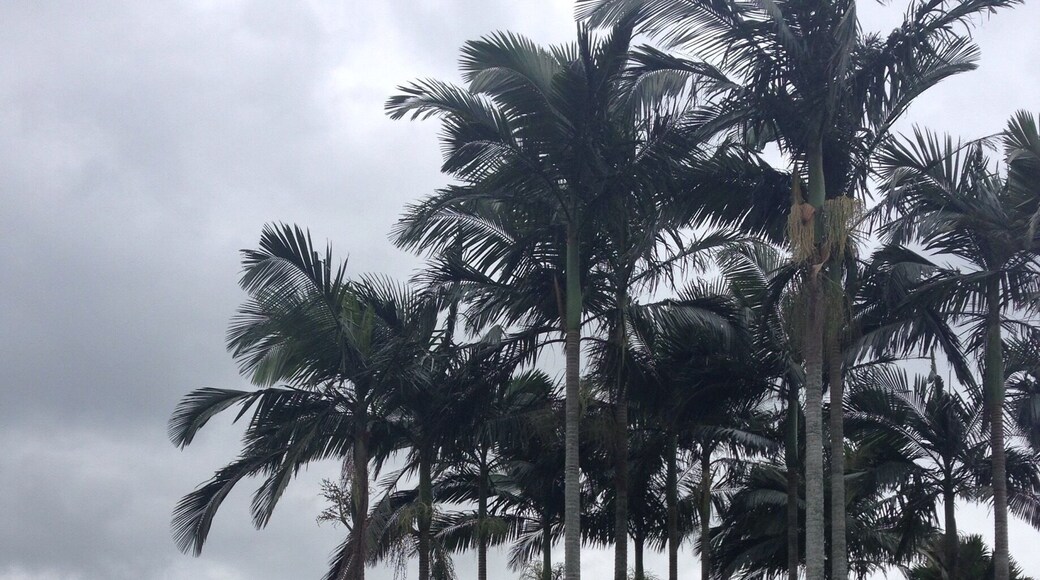 Amazingly quiet and beautiful surrounding