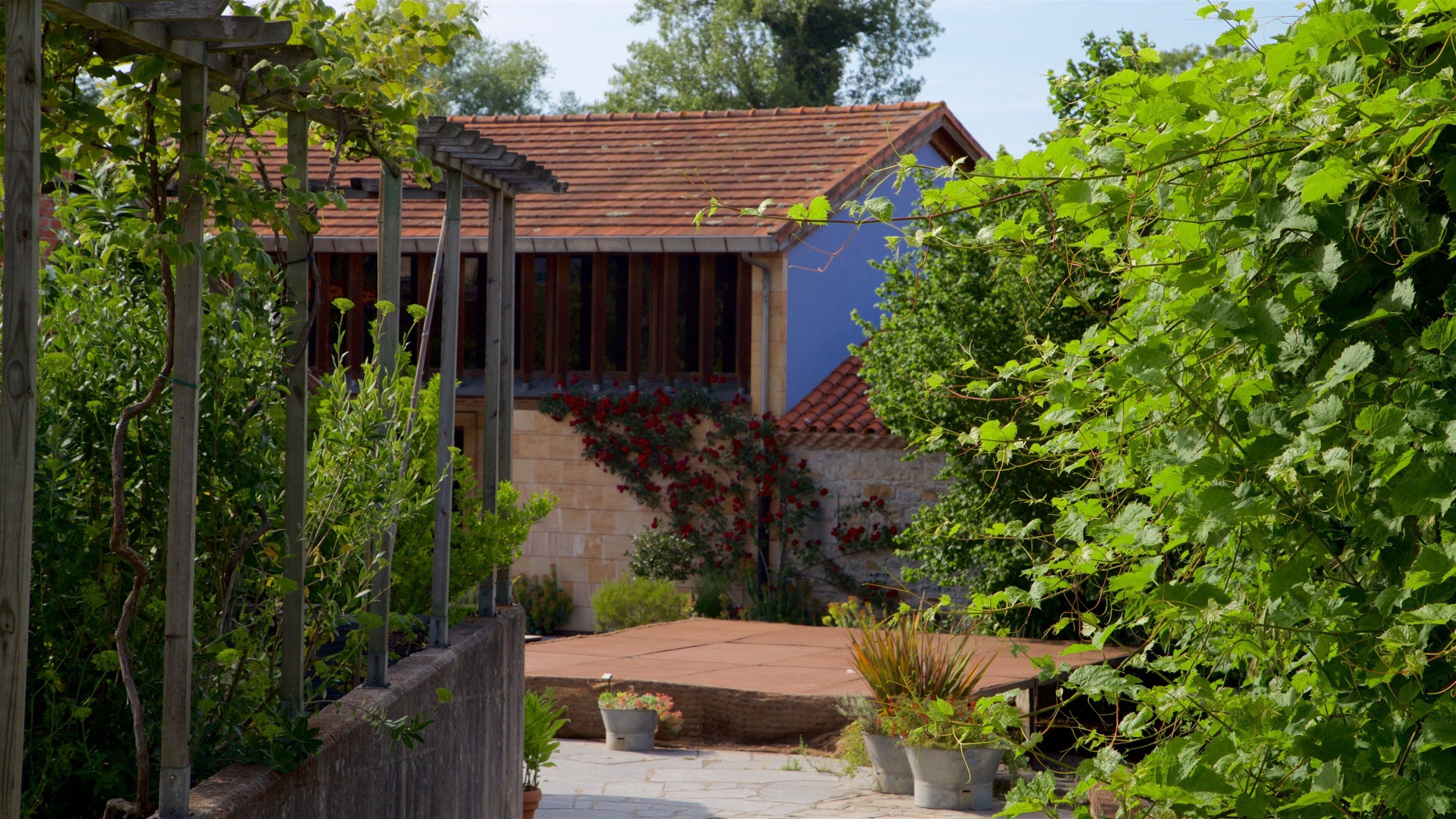 Jardín Botánico Atlántico