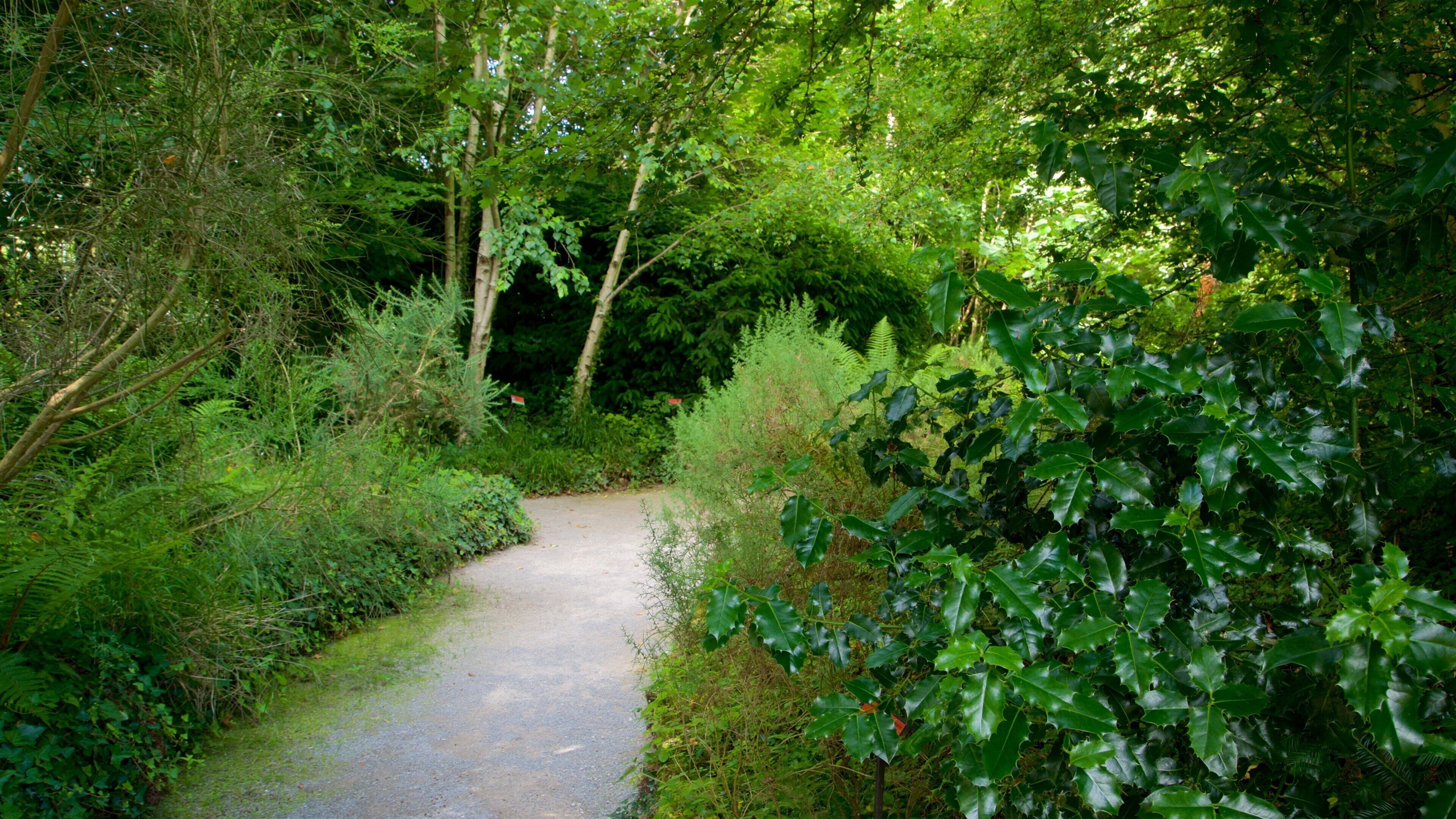 Jardín Botánico Atlántico som inkluderer skoglandskap og hage