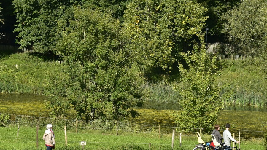 Trung tâm thể thao Foret de Soignes Sport