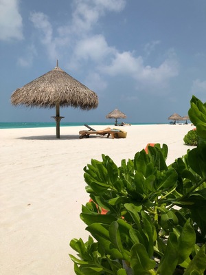 A true piece of heaven on Earth!