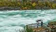 Une rivière avec une plateforme d’observation en bois, où des personnes observent l’eau.