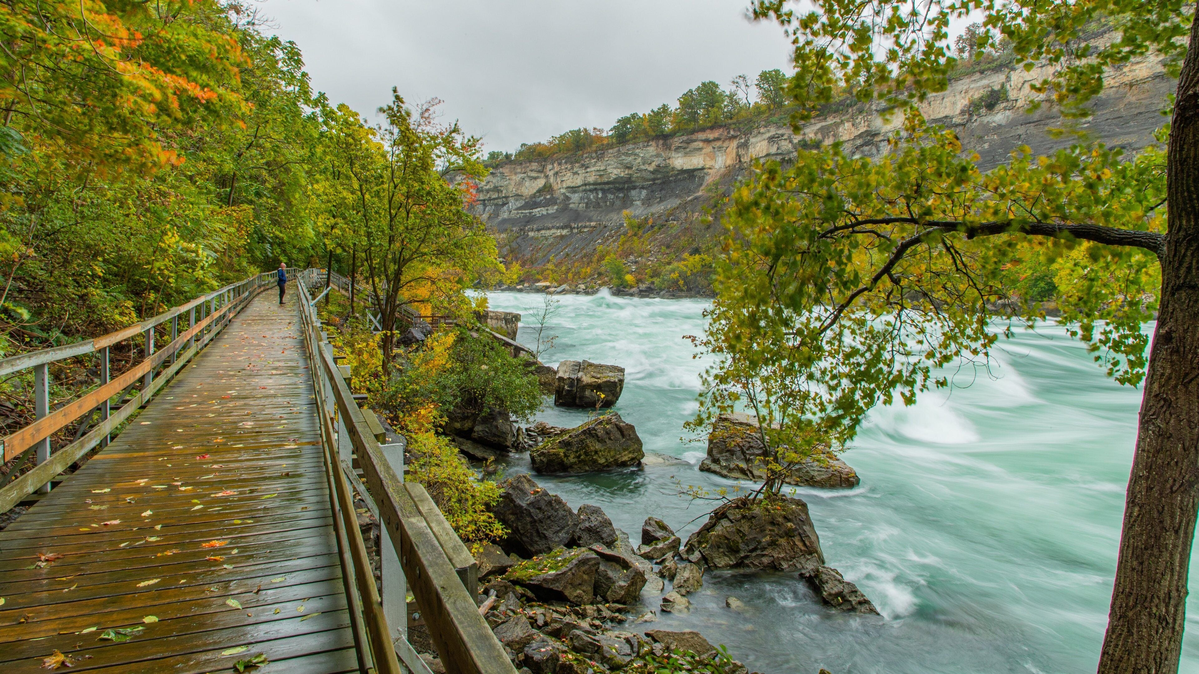 White Water Walk which includes a bridge, rapids and a river or creek