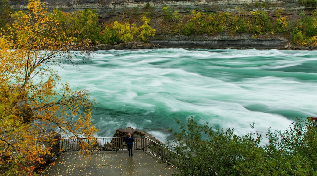 White Water Walk featuring a river or creek and rapids
