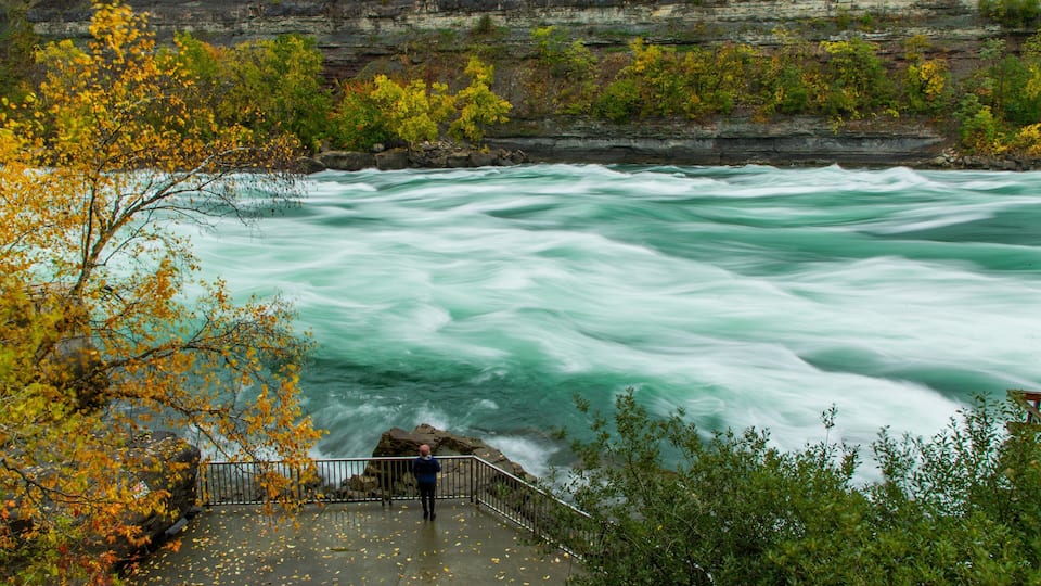 White Water Walk featuring a river or creek and rapids