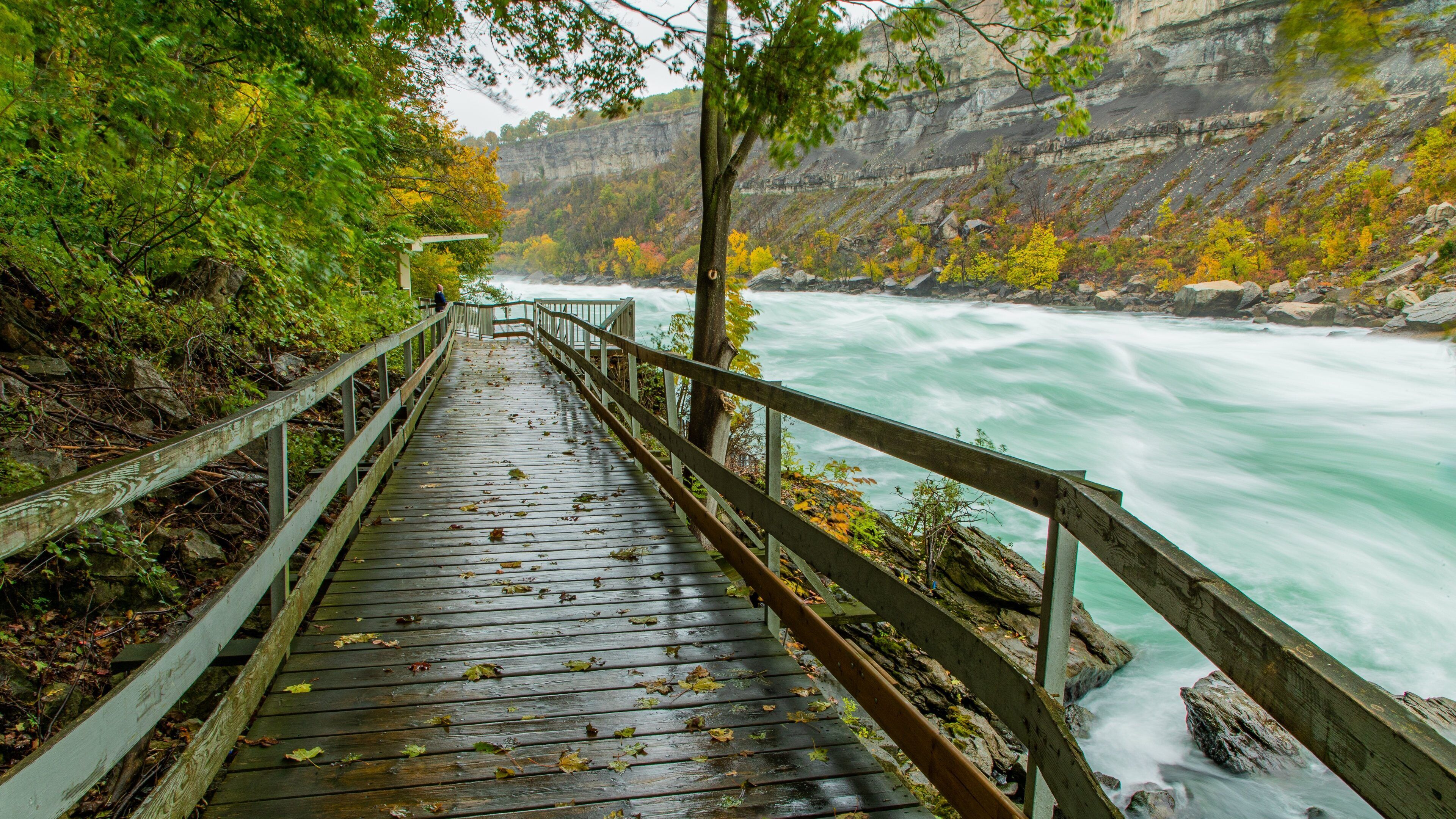 White Water Walk which includes a bridge, a river or creek and rapids