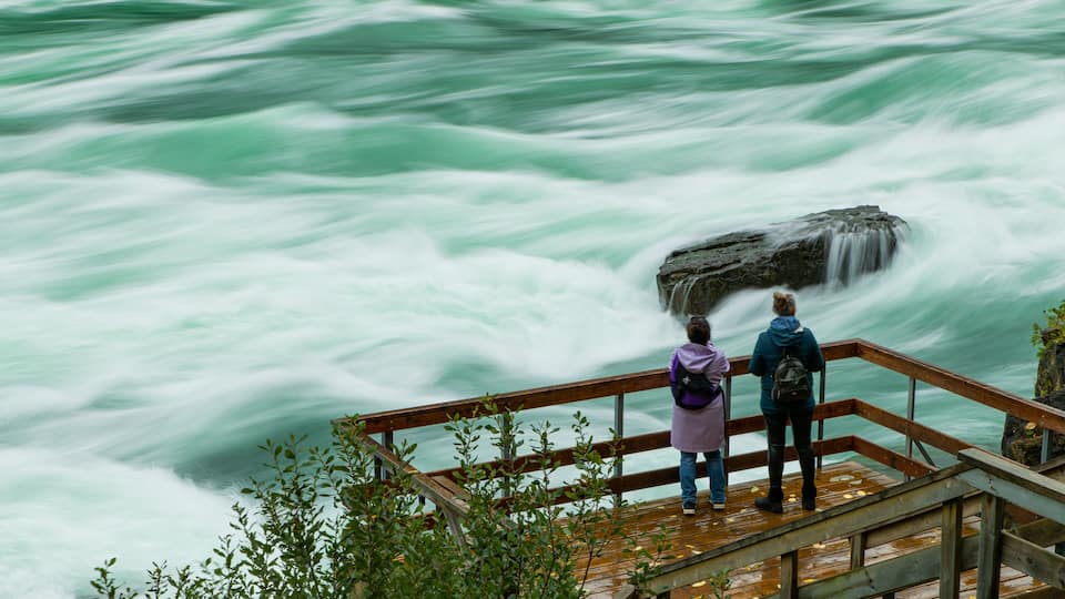 White Water Walk showing a river or creek, views and rapids
