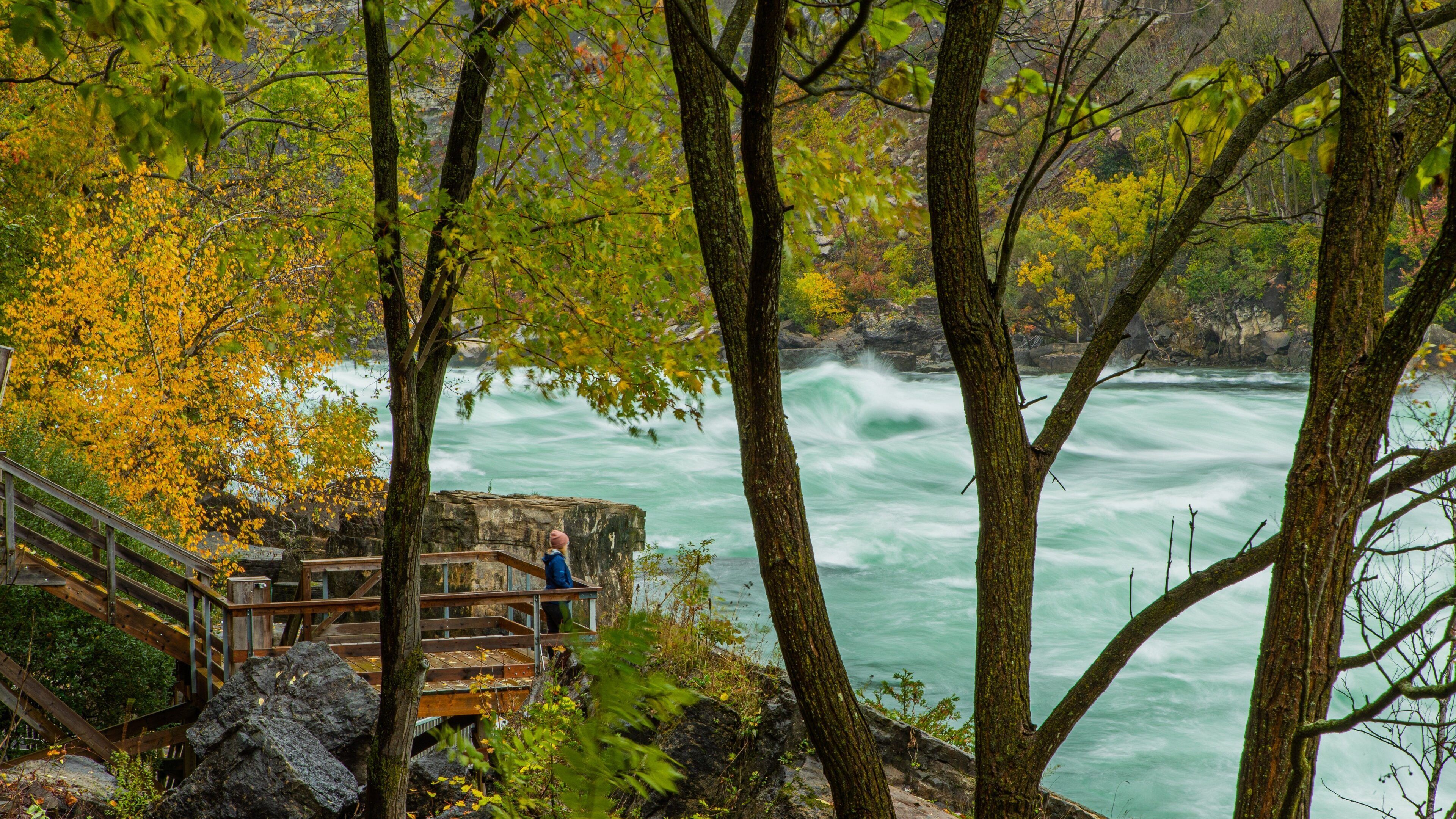 White Water Walk featuring rapids and a river or creek