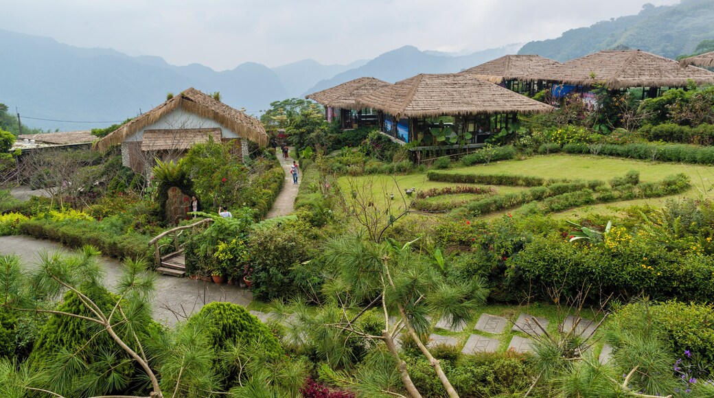 Parc culturel YuyupasTsou