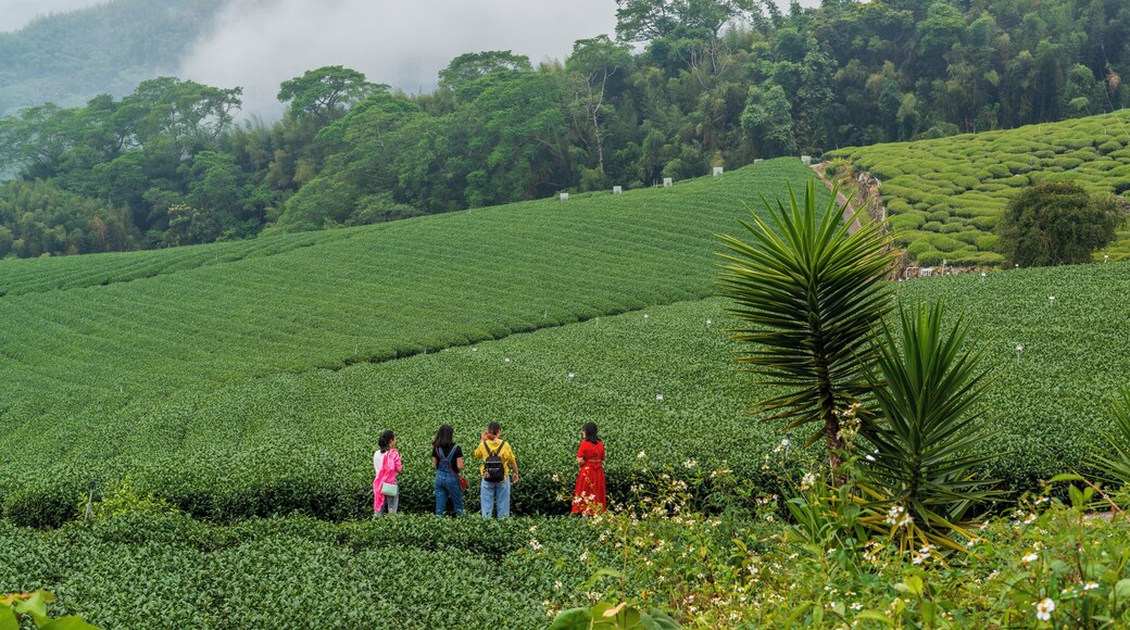 Parc culturel YuyupasTsou