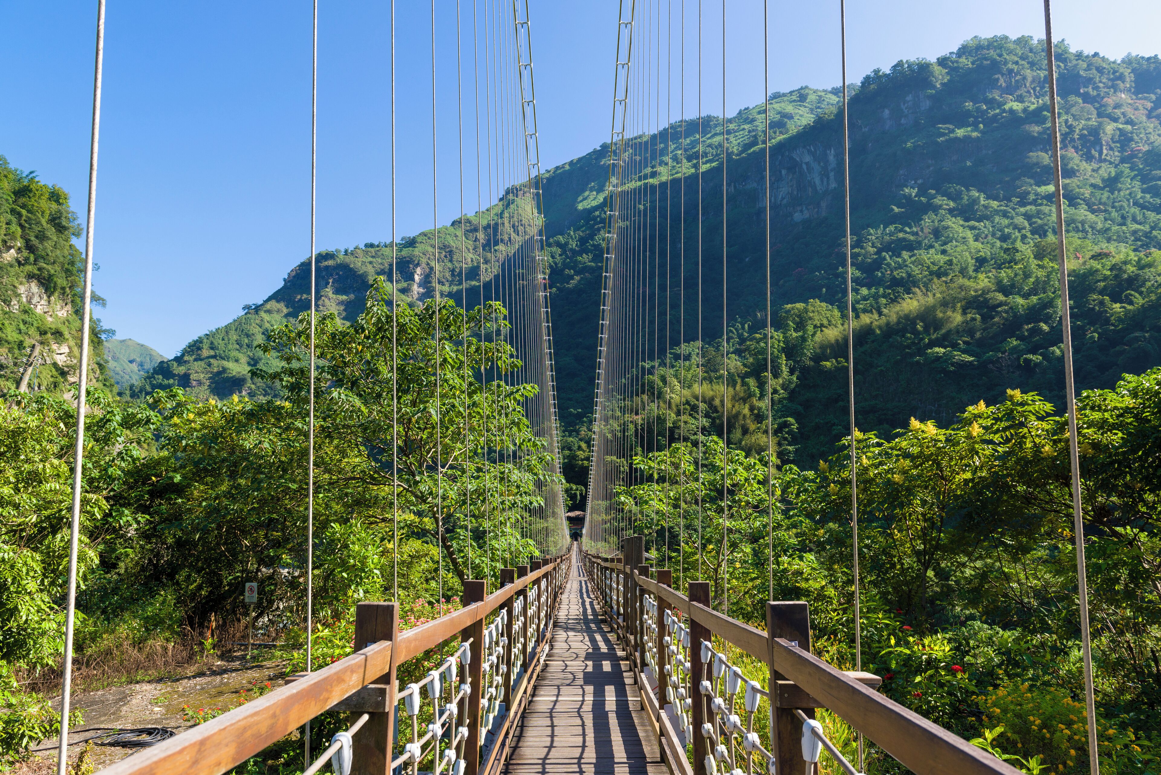 Alishan_Danayiguziranshengtai Park_09
