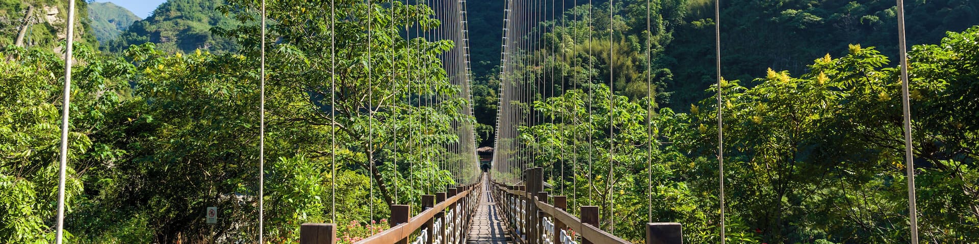 A suspension bridge with wooden railings and cables, surrounded by lush green forest and hills.