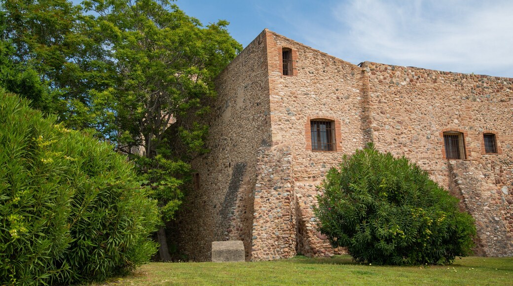 Castle Vilafortuny showing heritage architecture