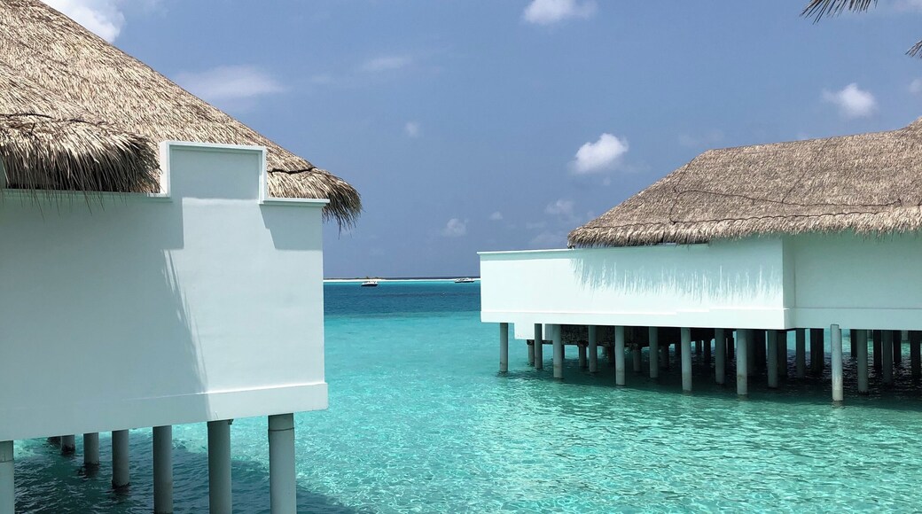 if you believe in paradise, the Maldives is the place that you want to visit the paradise on Earth - the color of the water is unbelievable, you can see many fishes, sharks, turtles, and many others....no filter is needed in this picture - amazing place, wonderful nature!!! #ReDiscover