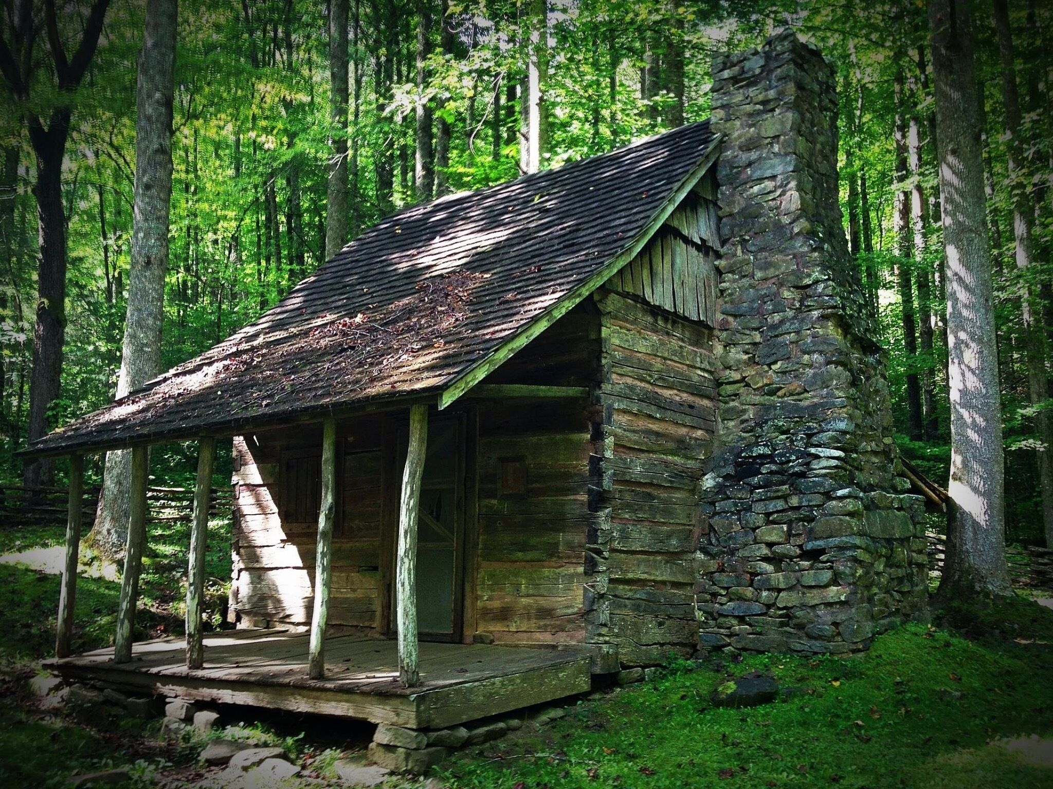 Near Joyce Kilmer Memorial Forest #green