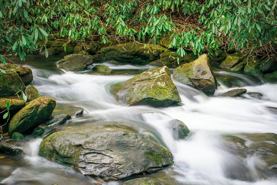 A flowing river with large rocks and dense green foliage.