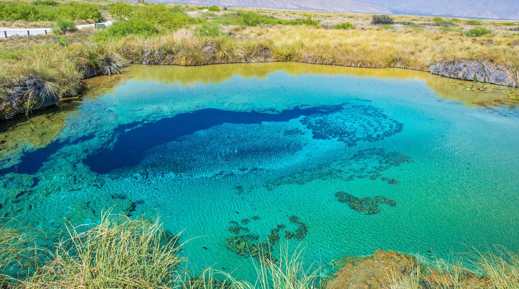 Colorful Poza azul in Cuatrocienegas, Coahuila