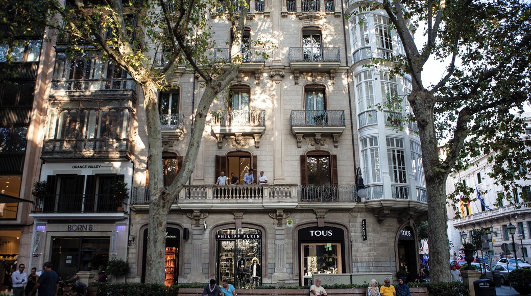 PalmadeMallorca_PaseodelBorne_553248622006552457_03-2