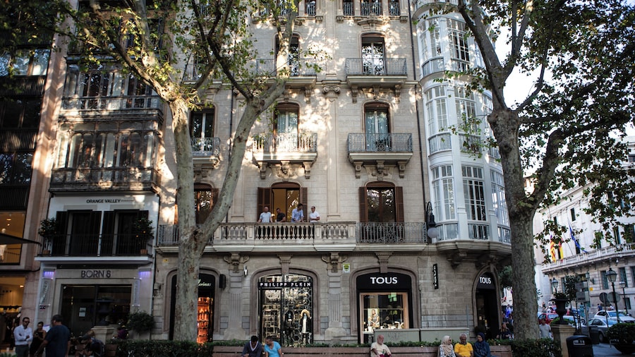 PalmadeMallorca_PaseodelBorne_553248622006552457_03-2