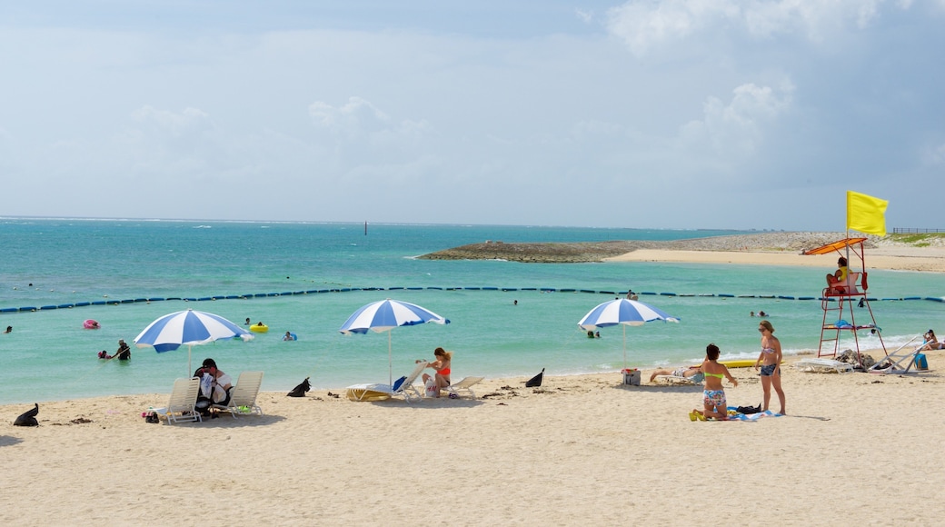 Okinawa showing swimming and a beach as well as a large group of people