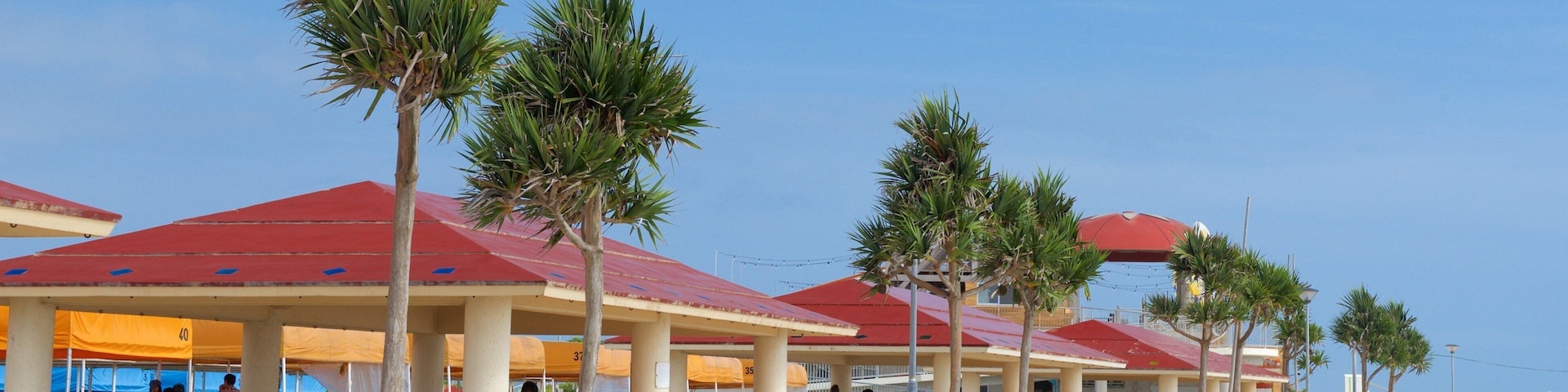 Okinawa showing a coastal town and outdoor eating as well as a large group of people