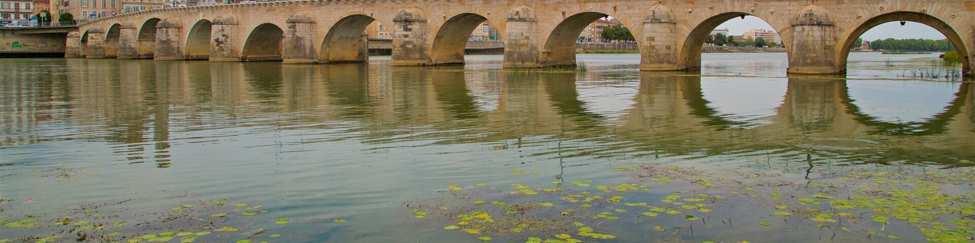 Un puente de piedra sobre un río con nenúfares en el agua.