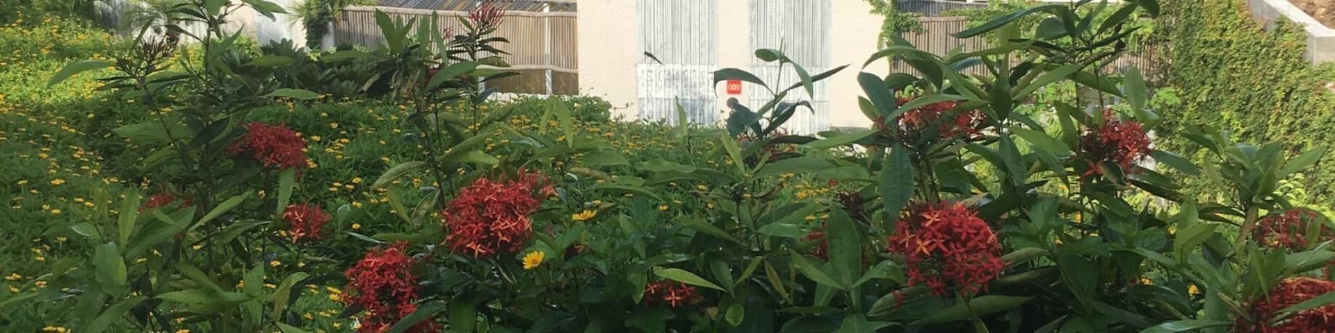 Spending the 4th at the W just outside of puerto villarta