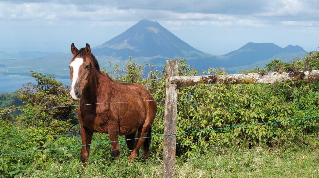Nice afternoon up at Mirador Lodge, outside of Monteverde. Volcan and Lake Arenal in background. #lifeatexpedia