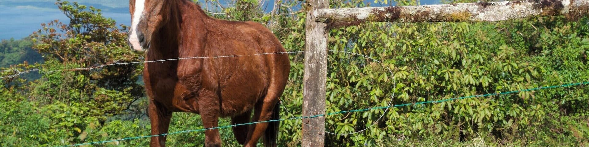 Nice afternoon up at Mirador Lodge, outside of Monteverde. Volcan and Lake Arenal in background. #lifeatexpedia