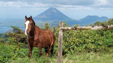 Nice afternoon up at Mirador Lodge, outside of Monteverde. Volcan and Lake Arenal in background. #lifeatexpedia