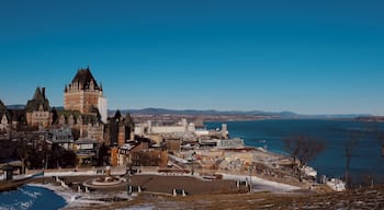 took the long way up to get to see this view only to find out that there is a much shorter way behind the Chateau. All worth it though. #oldquebec #goblin