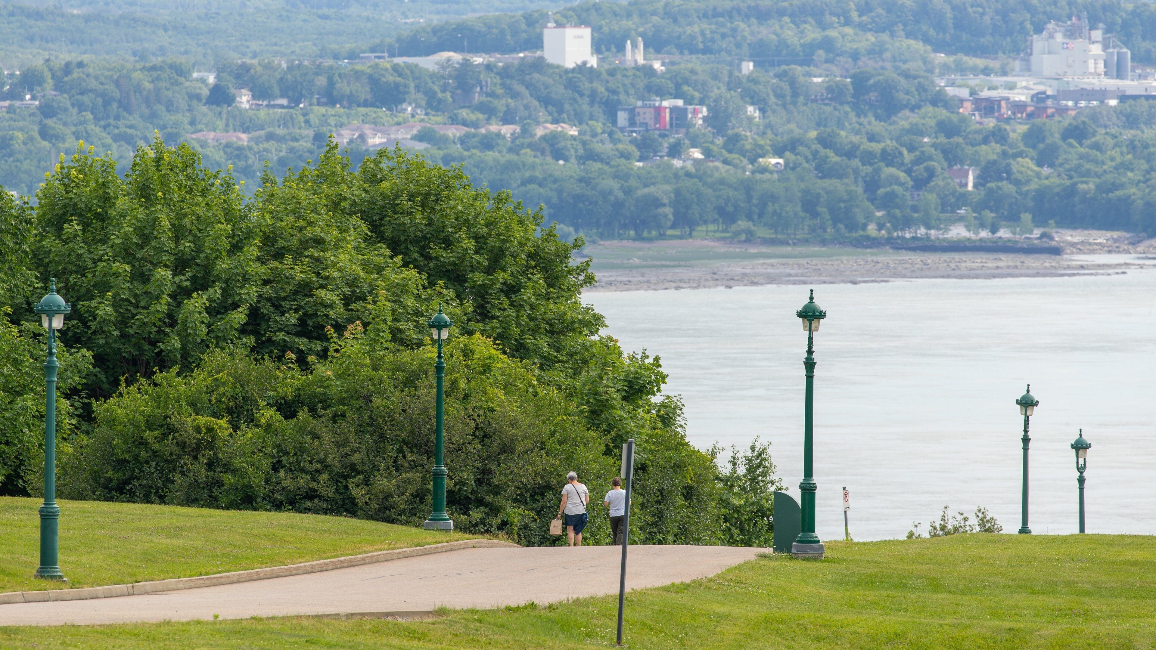 Plains of Abraham featuring general coastal views and a garden as well as a couple
